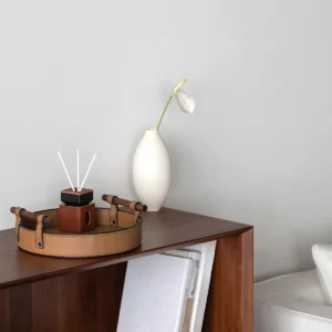 Round Tan Leather Tray in clay — in a room setting