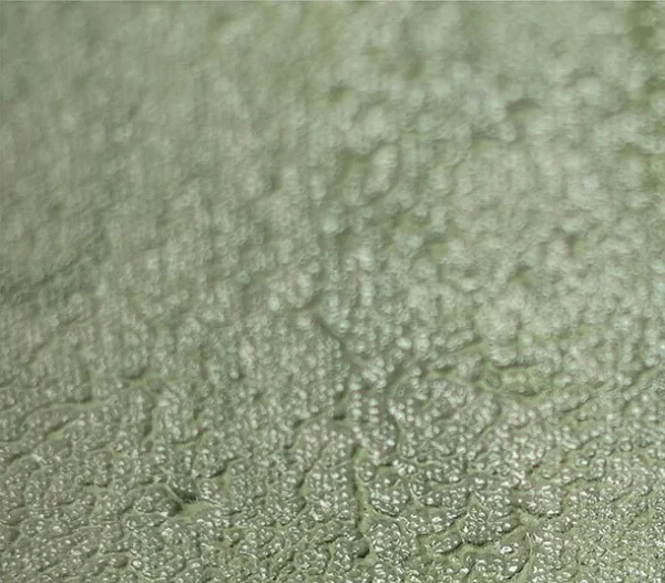 Sage Green Abstract Painting Set of 2, 45 x 60 cm Each in olive — detail