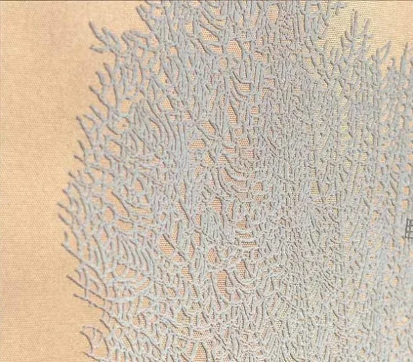 Sea Fan Coral Relief Set of 2 in sand — detail