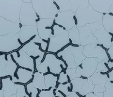 Glazed Tile Pair in Sky Blue and Black, Mirrored, 28 x 28 — detail