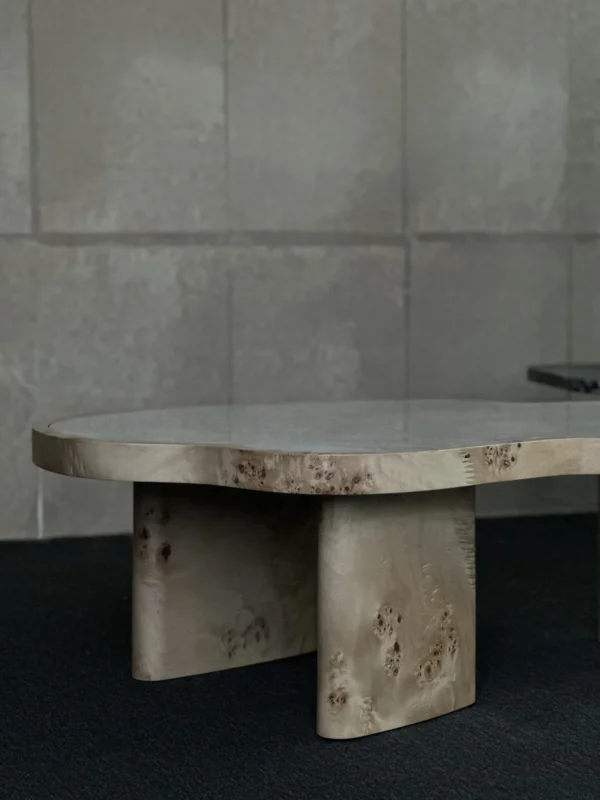 White Jade Marble Cloud Coffee Table on Burl Wood Base in ivory — in a room setting