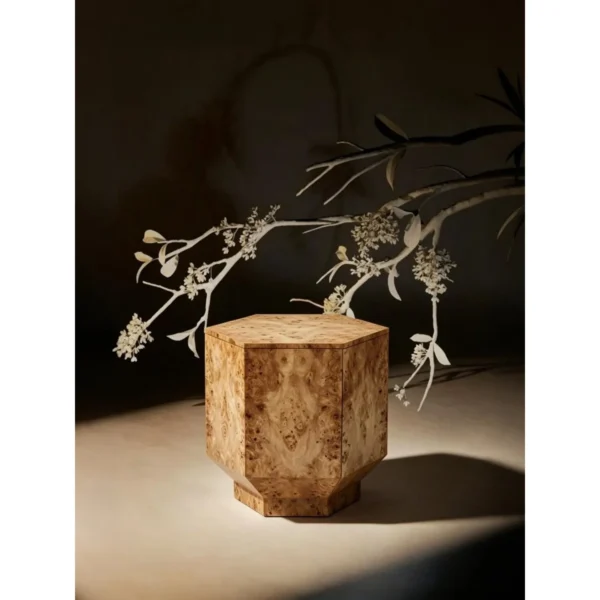 Yulinglong Hexagonal Burl Side Table with Onyx Top, Set of 2 in clay — in a room setting