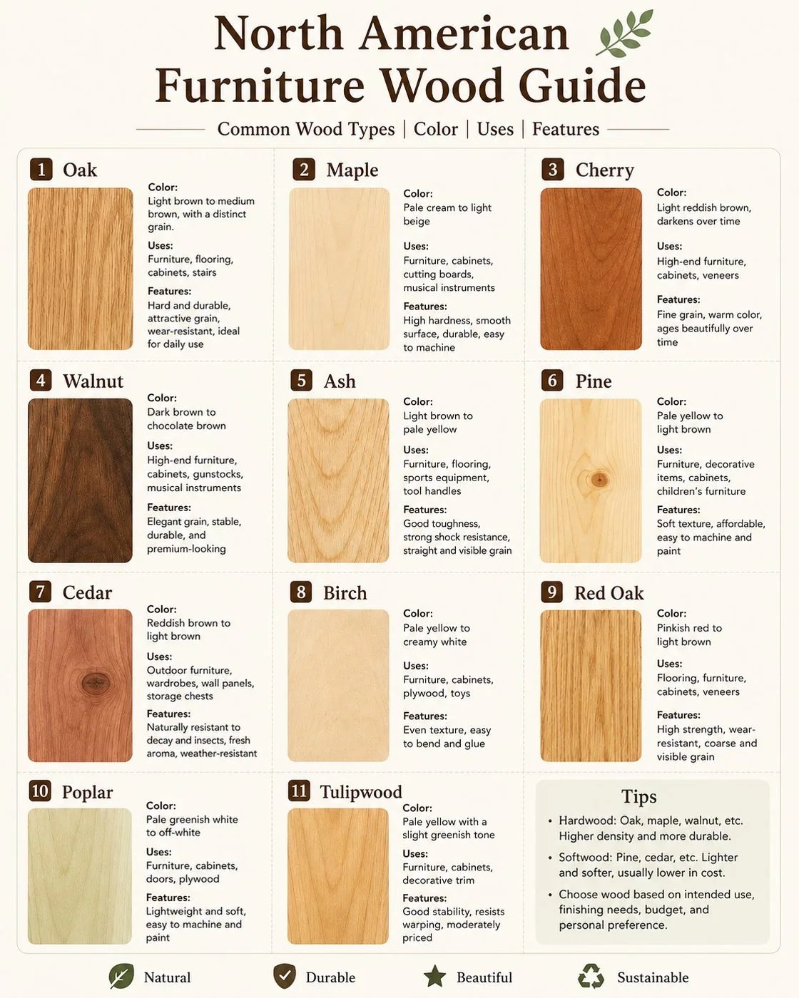 North American furniture wood guide comparing common wood species, uses and features