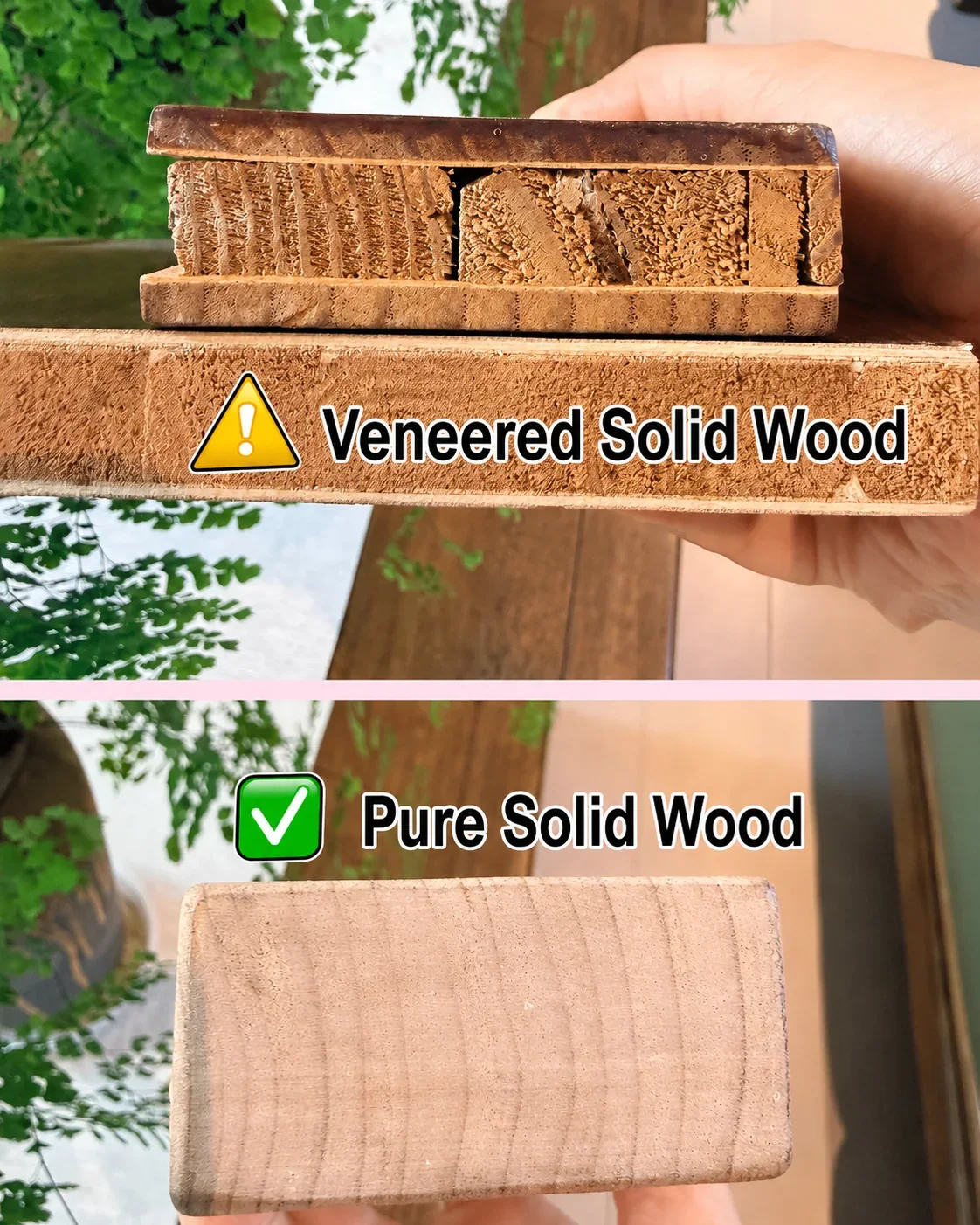 Veneered wood construction compared with pure solid wood cross section