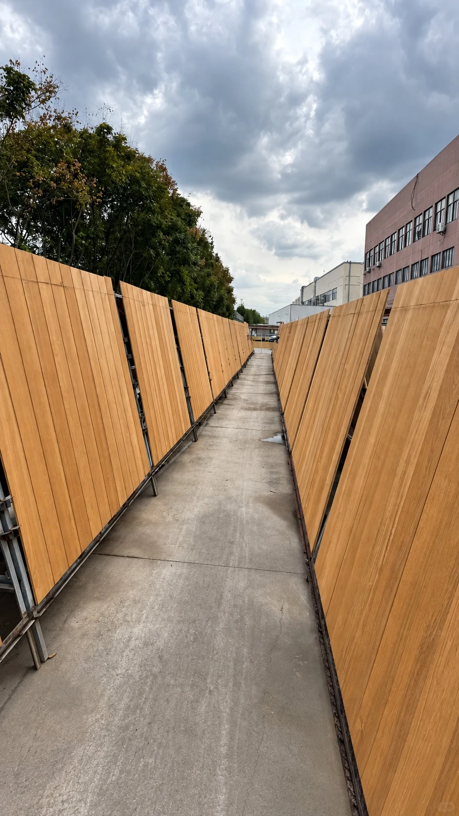 Long rows of timber drying in outdoor air