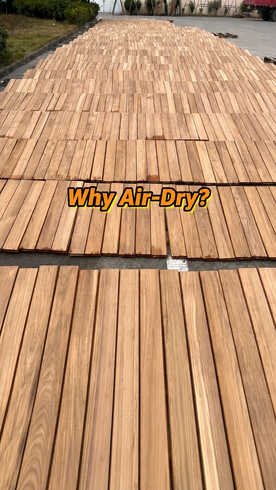 Air-dried timber laid out in rows before further processing