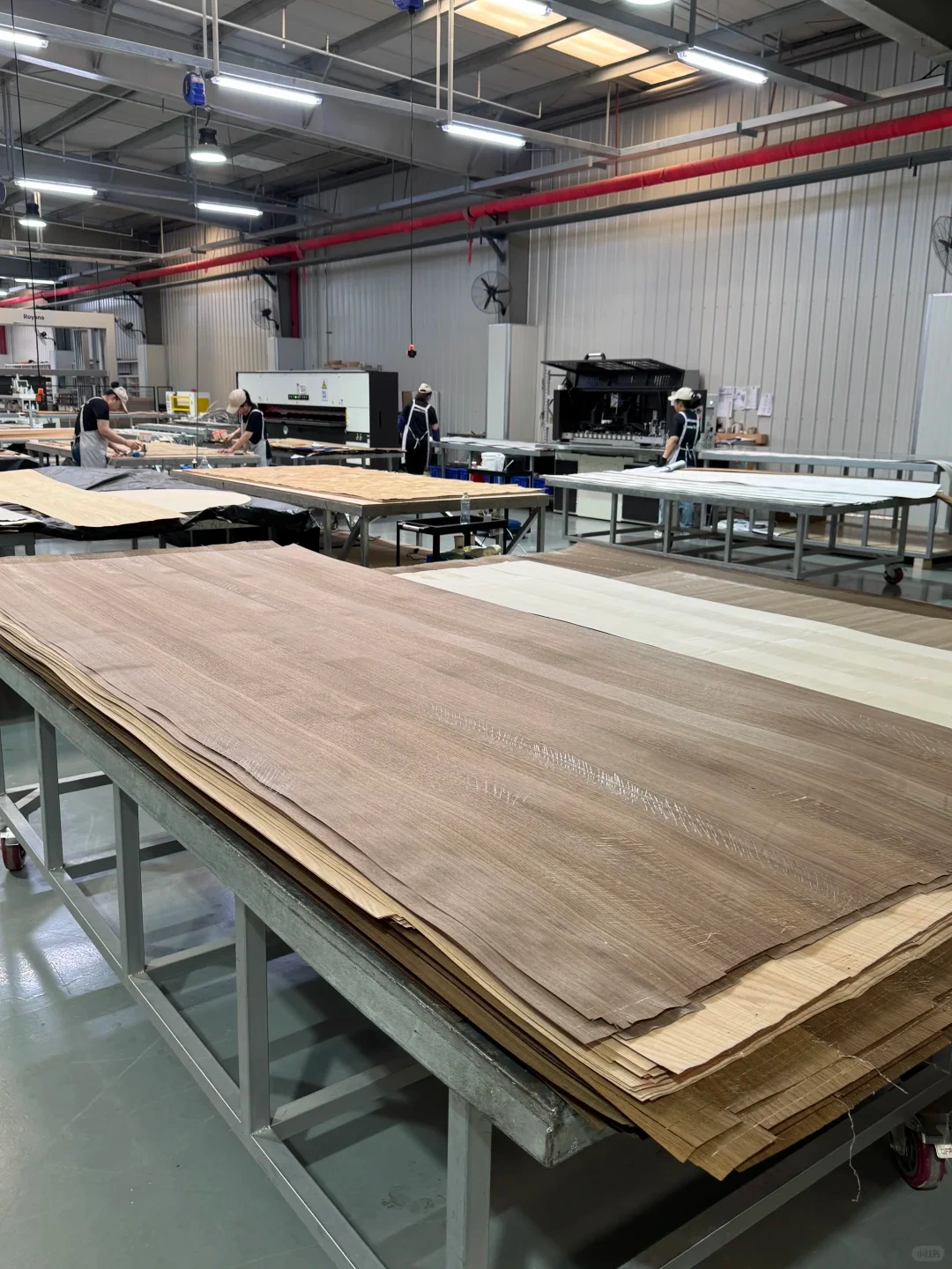 Large veneer sheets laid out for furniture production