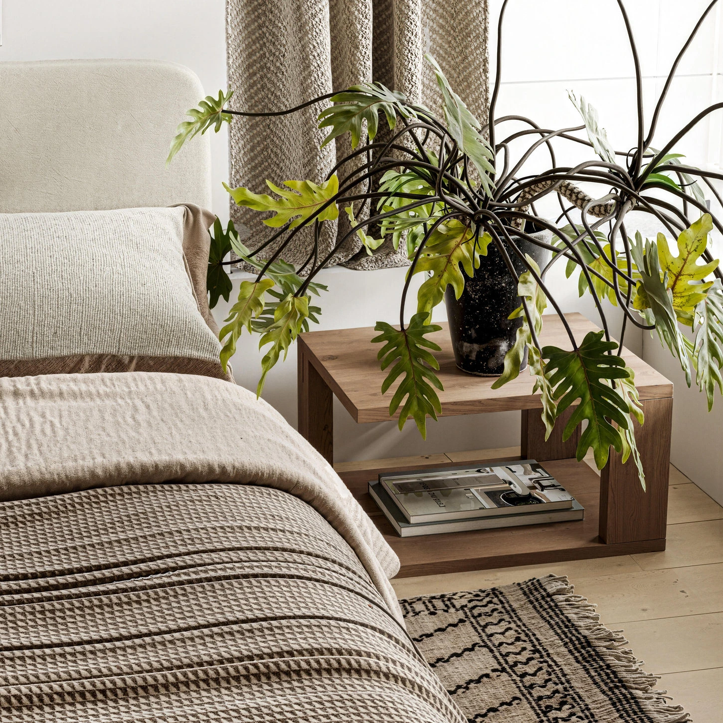 Detail of Japandi sofa fabric, textured rug, wood side table and leafy plant