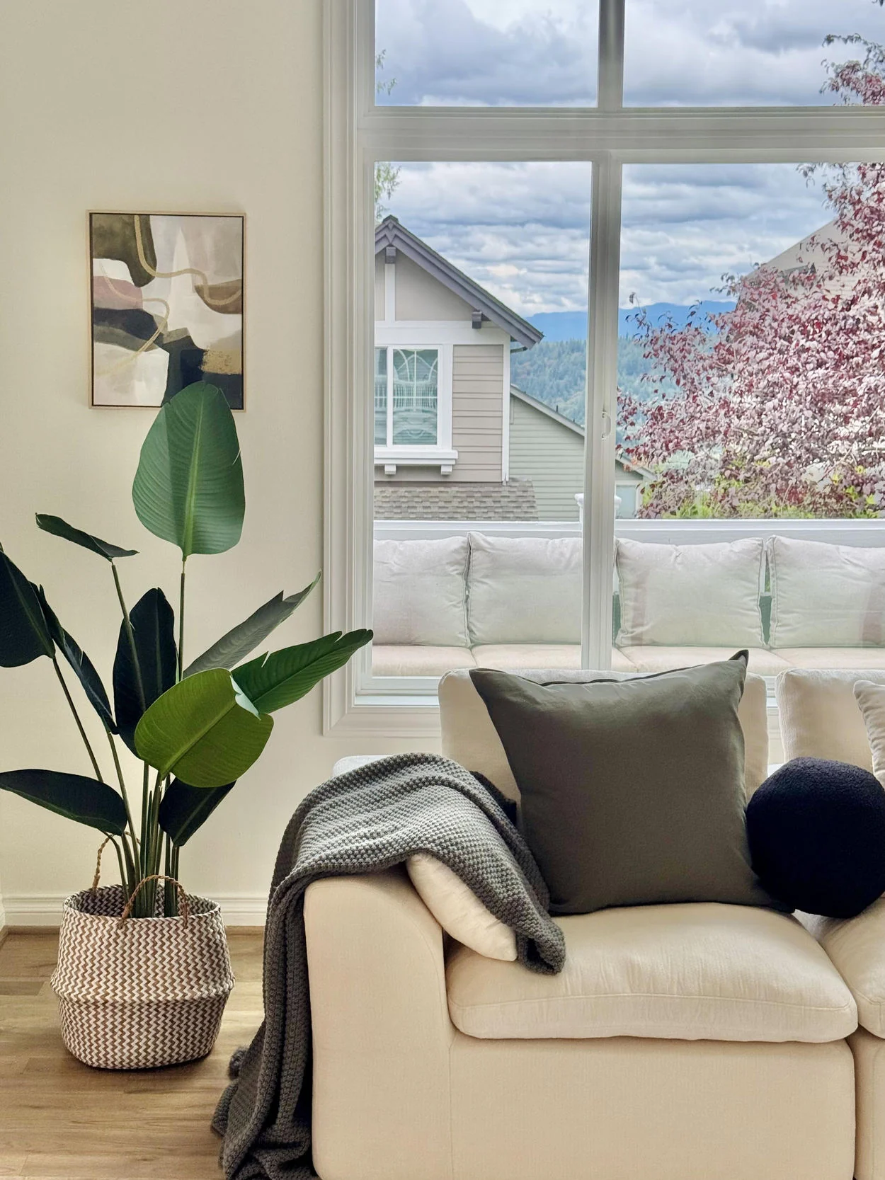 Pale sofa and indoor plant beside a sunlit window